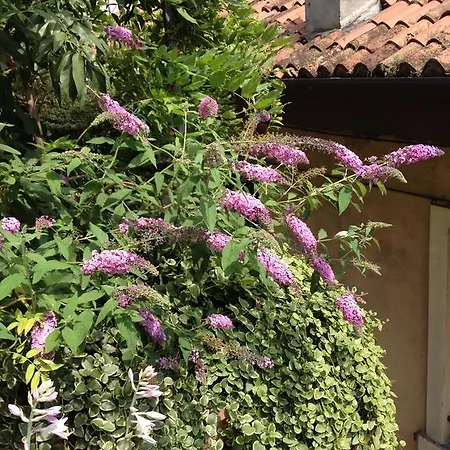 Residenza San Faustino