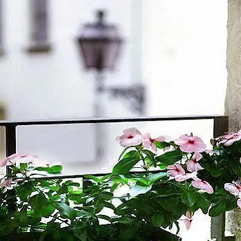 Residenza San Faustino