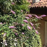 Residenza San Faustino