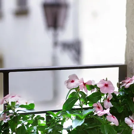 Bed & Breakfast San Faustino Rome Colosseum